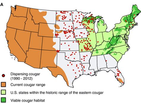 mountain lion territory map